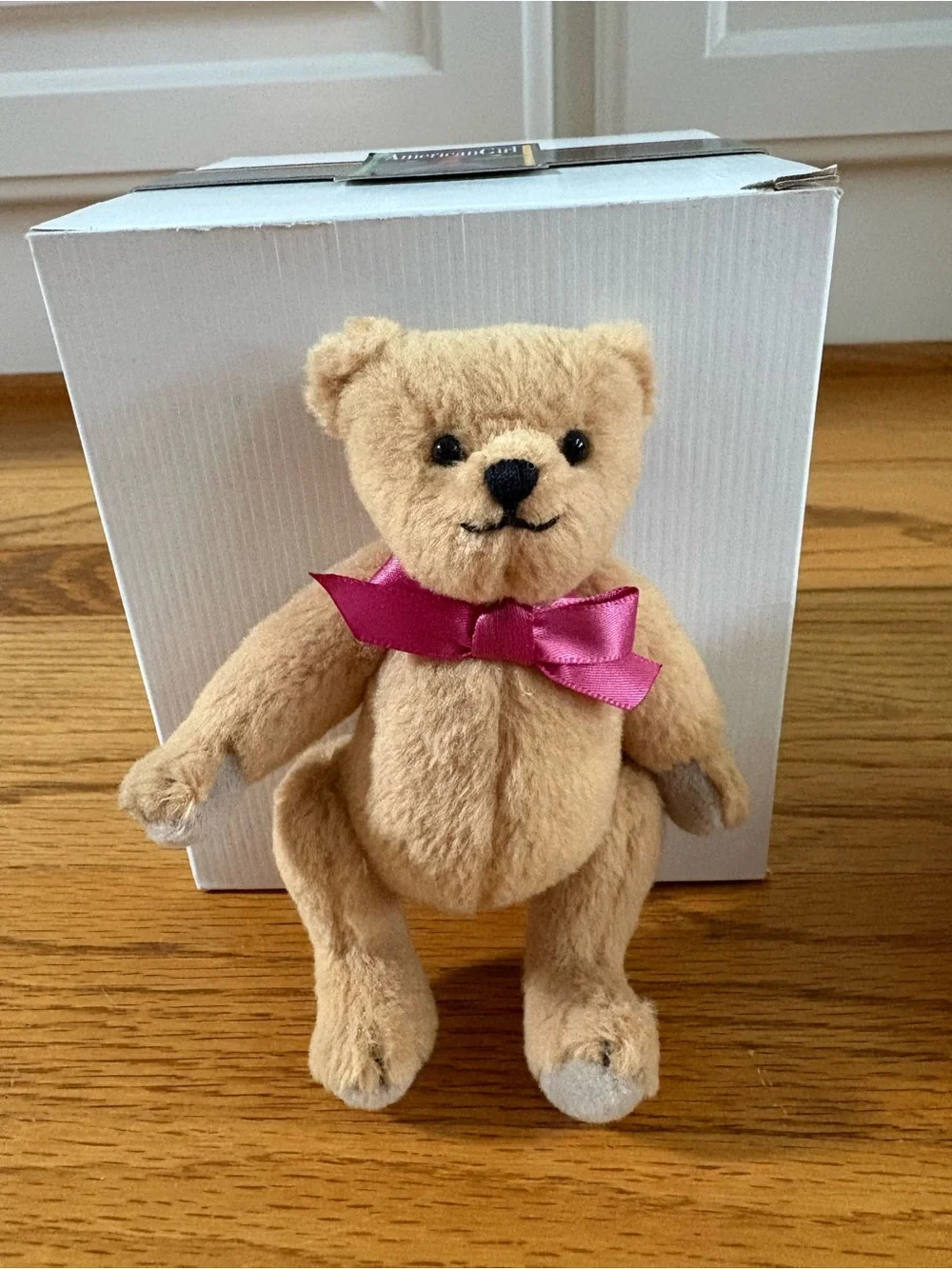 American Girl Nighttime Treats Accessories 2000 Teddy Bear Popcorn Retired NEW